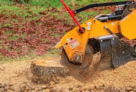 Leaf Removal in Steilacoom, WA