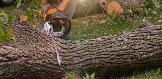 Soil Testing and Treatment in Steilacoom, WA